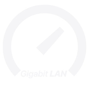 gigabit-lan (1)